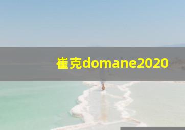 崔克domane2020