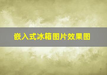 嵌入式冰箱图片效果图