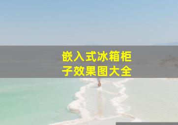 嵌入式冰箱柜子效果图大全