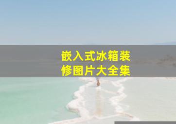 嵌入式冰箱装修图片大全集