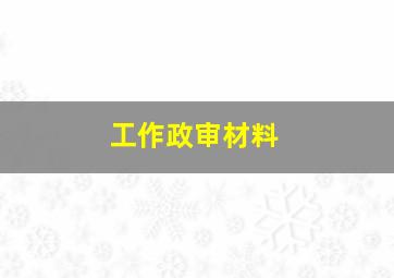 工作政审材料