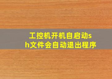 工控机开机自启动sh文件会自动退出程序