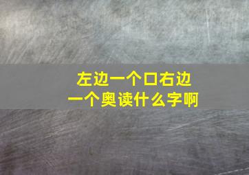 左边一个口右边一个奥读什么字啊