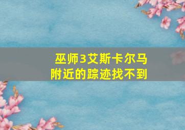 巫师3艾斯卡尔马附近的踪迹找不到