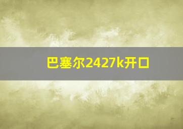 巴塞尔2427k开口