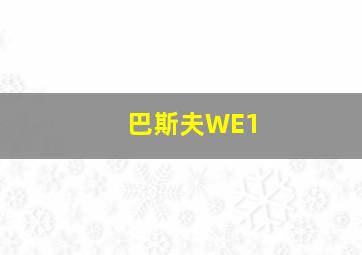 巴斯夫WE1