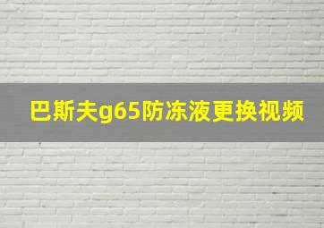 巴斯夫g65防冻液更换视频