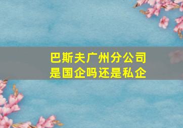 巴斯夫广州分公司是国企吗还是私企