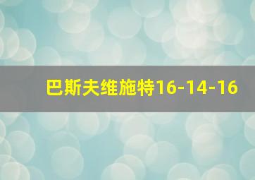 巴斯夫维施特16-14-16