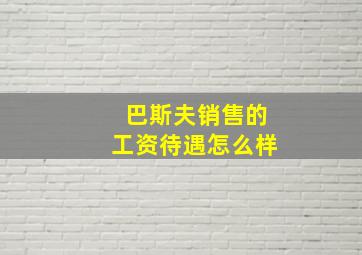 巴斯夫销售的工资待遇怎么样