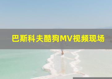 巴斯科夫酷狗MV视频现场