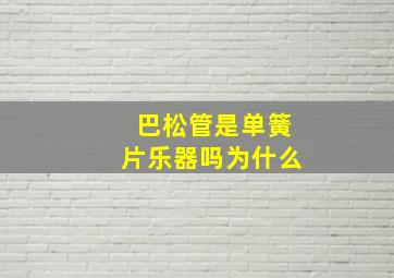 巴松管是单簧片乐器吗为什么