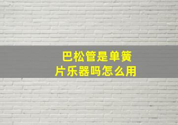 巴松管是单簧片乐器吗怎么用