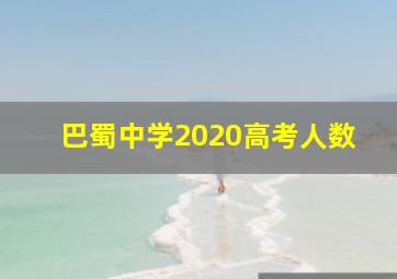 巴蜀中学2020高考人数