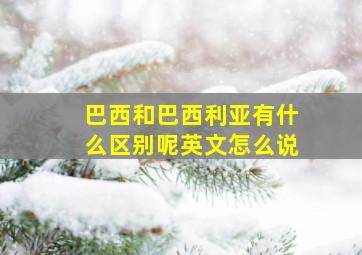 巴西和巴西利亚有什么区别呢英文怎么说