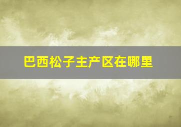 巴西松子主产区在哪里