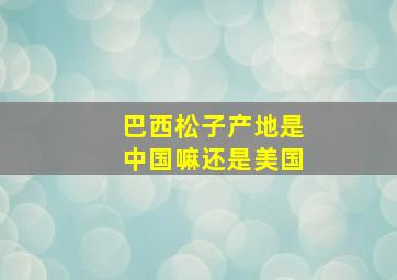 巴西松子产地是中国嘛还是美国