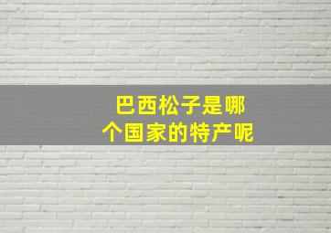 巴西松子是哪个国家的特产呢