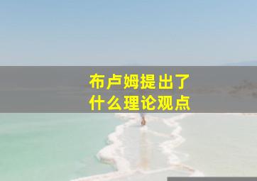 布卢姆提出了什么理论观点