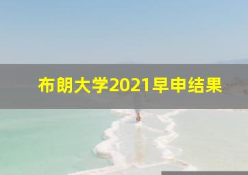 布朗大学2021早申结果