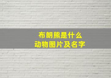 布朗熊是什么动物图片及名字