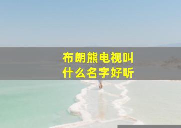 布朗熊电视叫什么名字好听