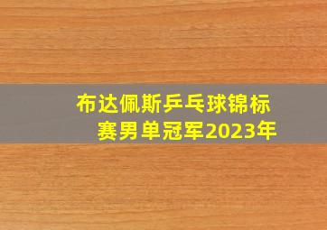 布达佩斯乒乓球锦标赛男单冠军2023年