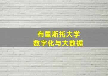 布里斯托大学数字化与大数据