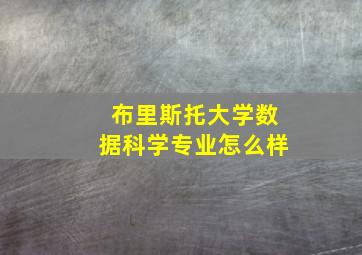 布里斯托大学数据科学专业怎么样