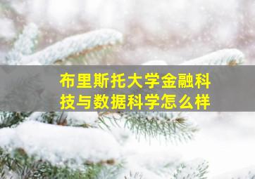 布里斯托大学金融科技与数据科学怎么样