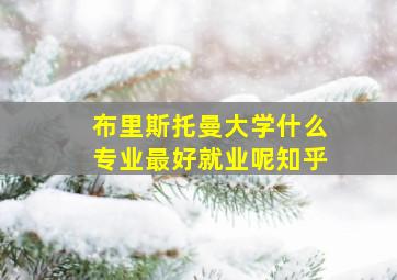 布里斯托曼大学什么专业最好就业呢知乎