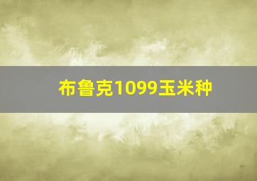 布鲁克1099玉米种