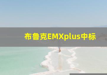 布鲁克EMXplus中标