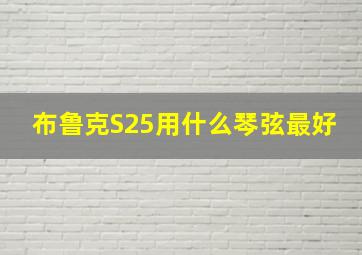 布鲁克S25用什么琴弦最好