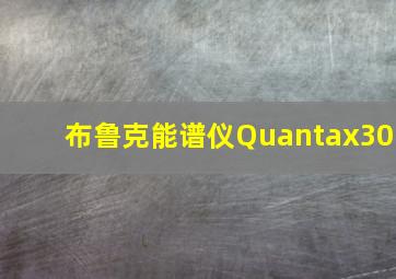 布鲁克能谱仪Quantax30