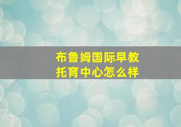 布鲁姆国际早教托育中心怎么样