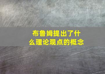 布鲁姆提出了什么理论观点的概念