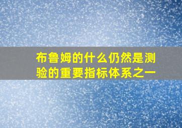 布鲁姆的什么仍然是测验的重要指标体系之一