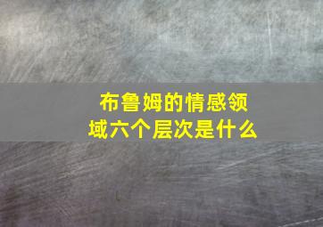 布鲁姆的情感领域六个层次是什么