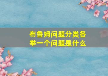 布鲁姆问题分类各举一个问题是什么