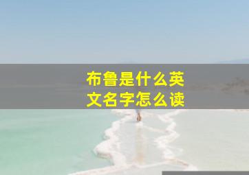 布鲁是什么英文名字怎么读