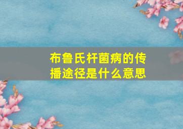 布鲁氏杆菌病的传播途径是什么意思