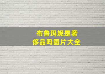 布鲁玛妮是奢侈品吗图片大全