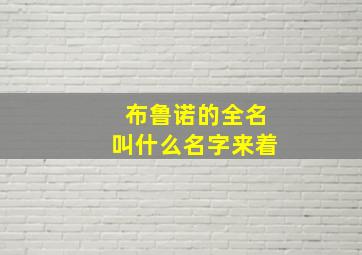 布鲁诺的全名叫什么名字来着