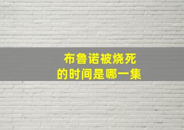 布鲁诺被烧死的时间是哪一集