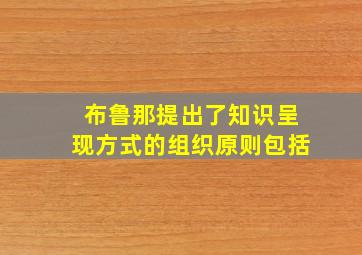 布鲁那提出了知识呈现方式的组织原则包括