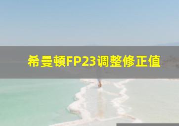 希曼顿FP23调整修正值