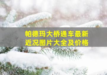 帕德玛大桥通车最新近况图片大全及价格