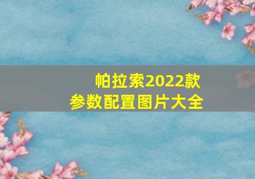 帕拉索2022款参数配置图片大全