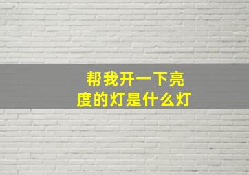 帮我开一下亮度的灯是什么灯